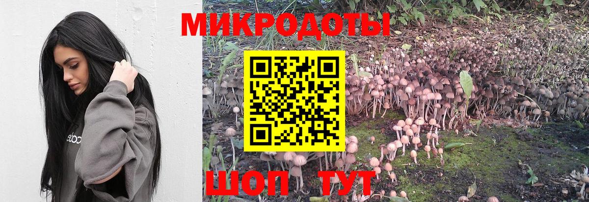 Псилоцибиновые грибы ЛСД  Вход с VPN  Асино 